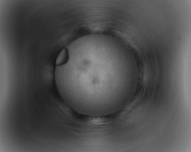 X0000093240710200710101422