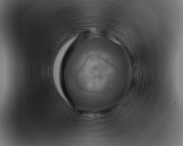 X0000093240712200710101422