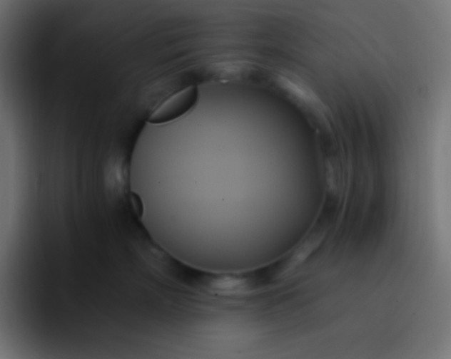 X0000093240718200710101422