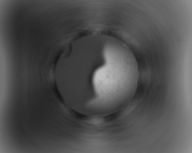 X0000093240719200710101422