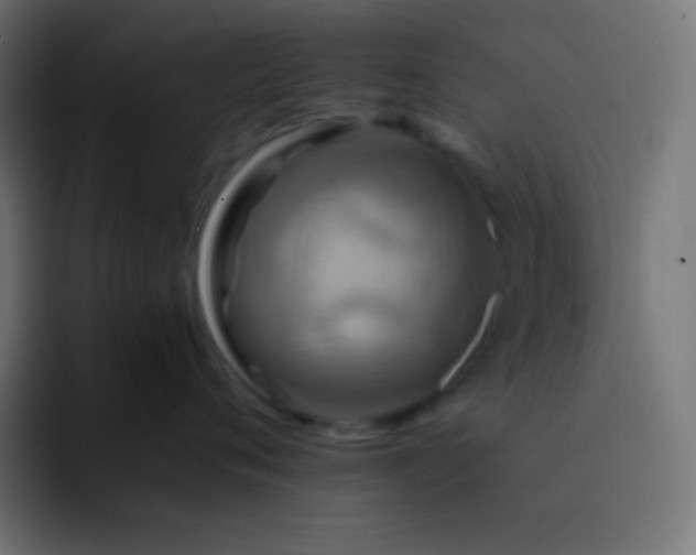 X0000093240720200710101422