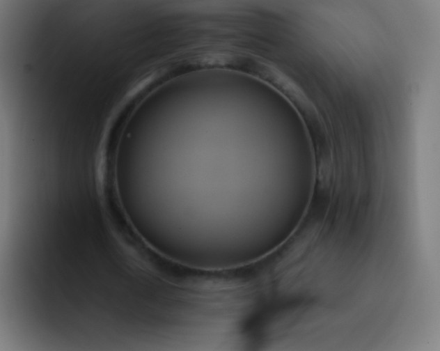 X0000093240722200710101421