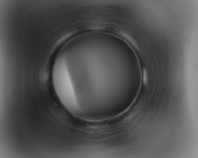 X0000093240723200710101421