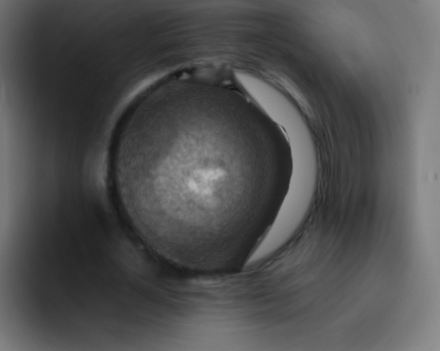 X0000093240724200710101421