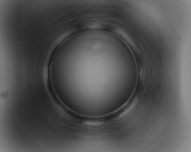 X0000093240725200710101421