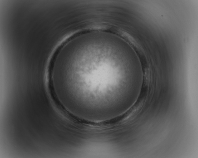 X0000093240726200710101421