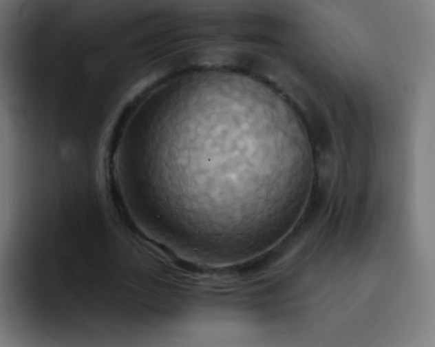 X0000093240727200710101421