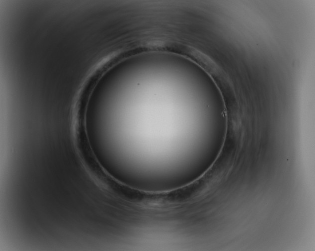 X0000093240728200710101421