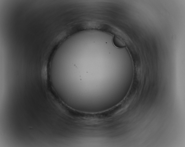 X0000093240729200710101421