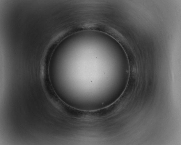 X0000093240732200710101421
