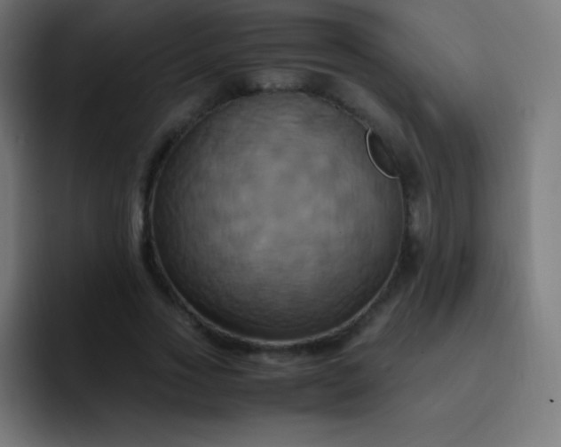 X0000093240733200710101421