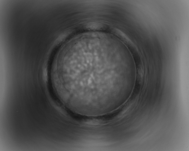 X0000093240734200710101421