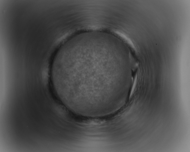 X0000093240736200710101421
