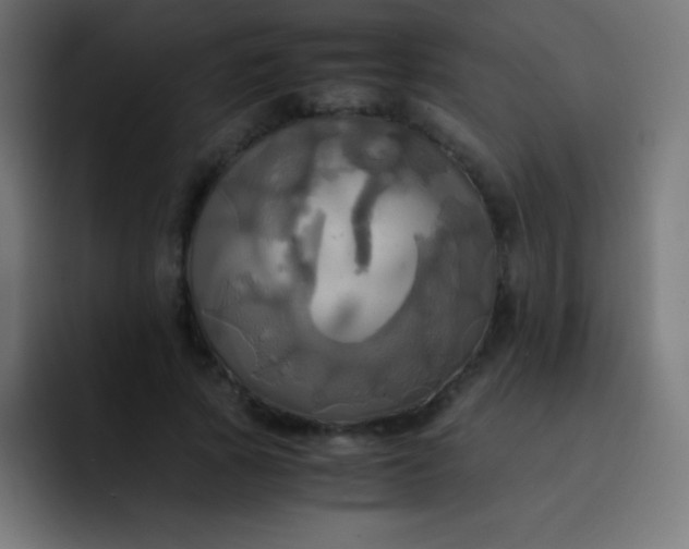 X0000093240737200710101421