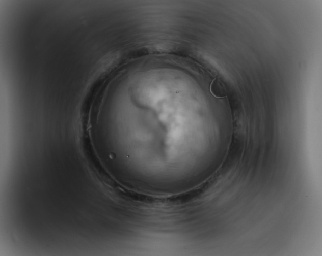 X0000093240738200710101421