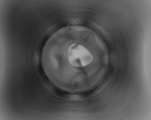 X0000093240741200710101421