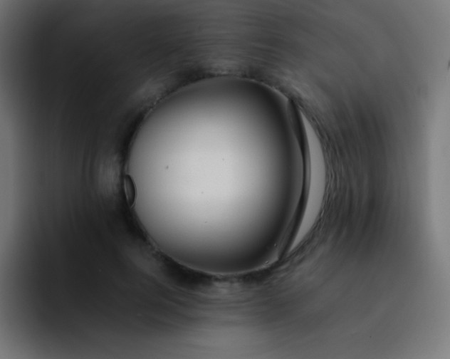 X0000093240744200710101421