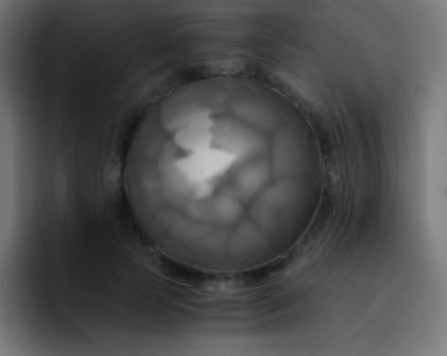 X0000093240745200710101421