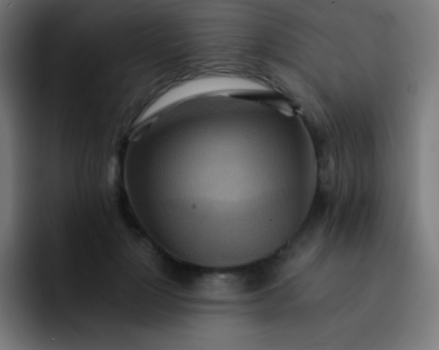 X0000093240748200710101421