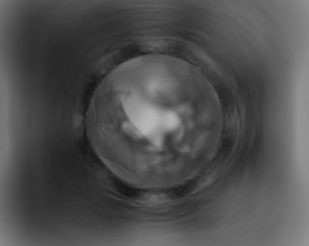 X0000093240749200710101421
