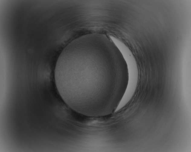 X0000093240750200710101421