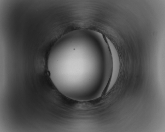 X0000093240752200710101421