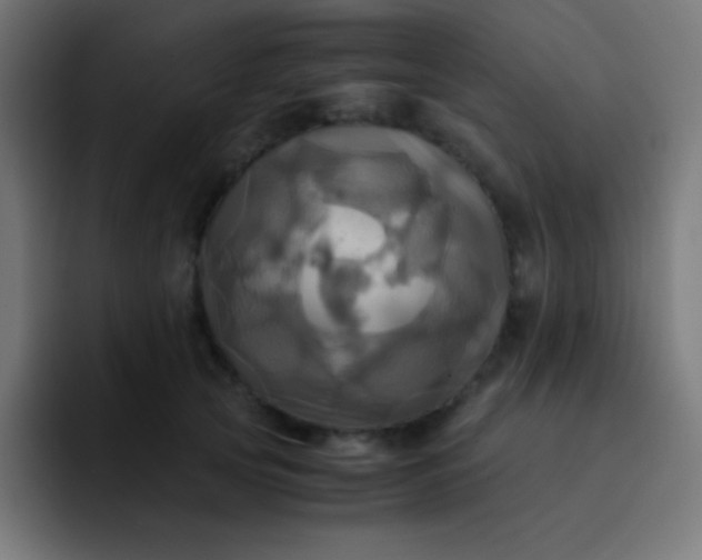 X0000093240753200710101421