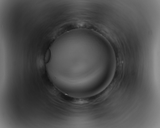 X0000093240754200710101421