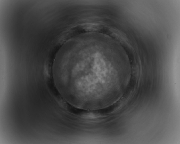 X0000093240755200710101421