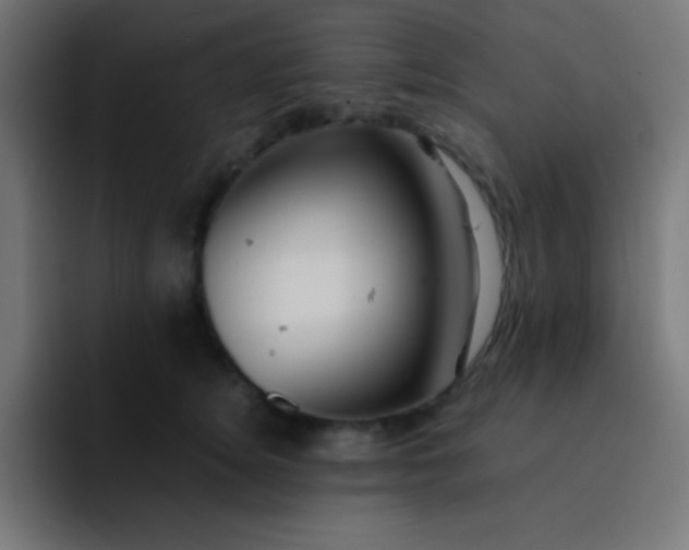 X0000093240756200710101421