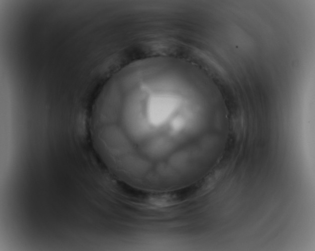 X0000093240757200710101421