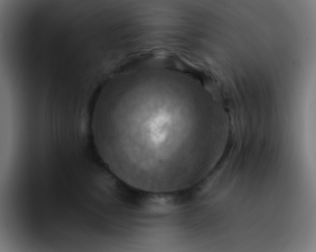 X0000093240760200710101421