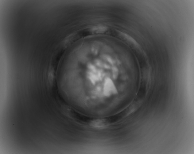X0000093240761200710101422