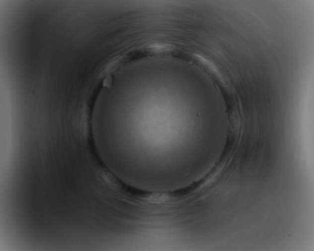 X0000093240762200710101422