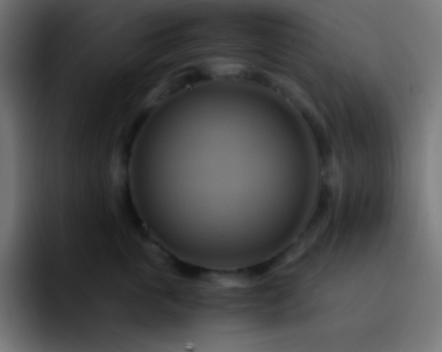X0000093240763200710101422