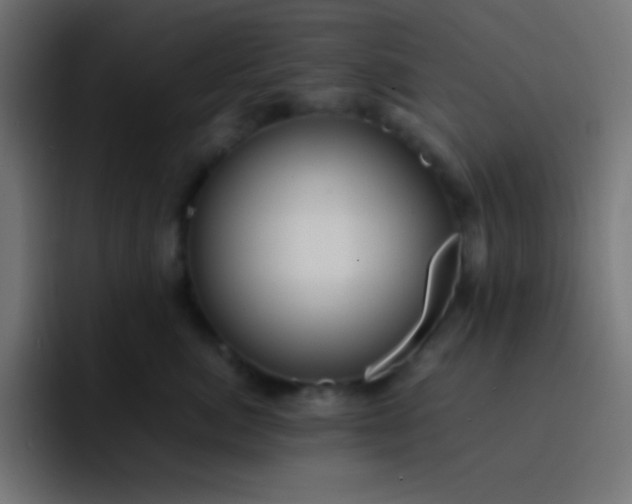X0000093240764200710101422
