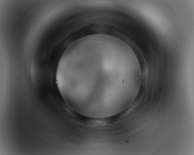 X0000093240765200710101422