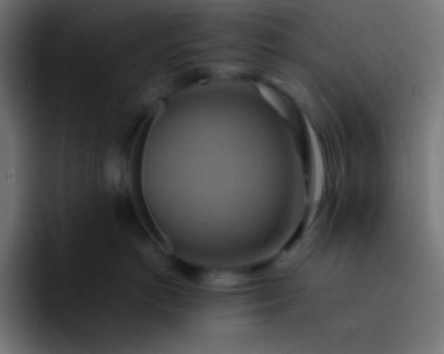 X0000093240766200710101422