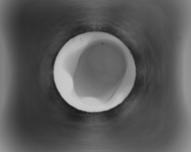 X0000093240769200710101421