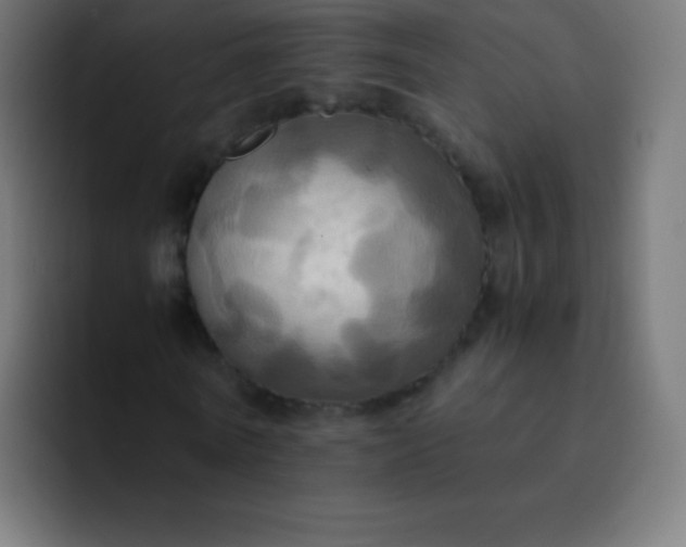 X0000093240770200710101421