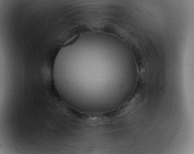 X0000093240772200710101421