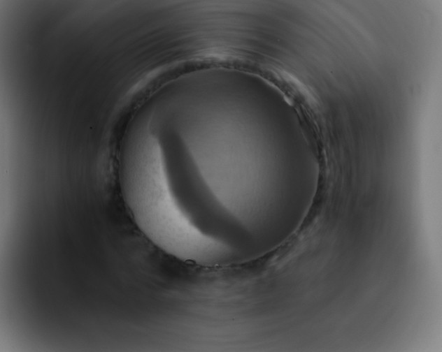 X0000093240776200710101421