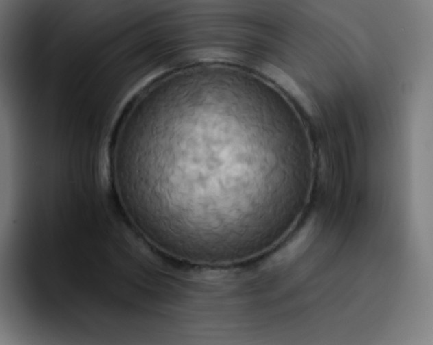 X0000093240782200710101421