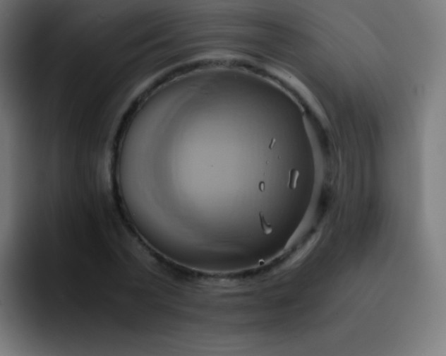 X0000093240783200710101421