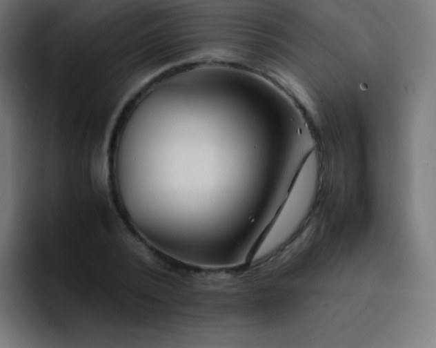 X0000093240784200710101421