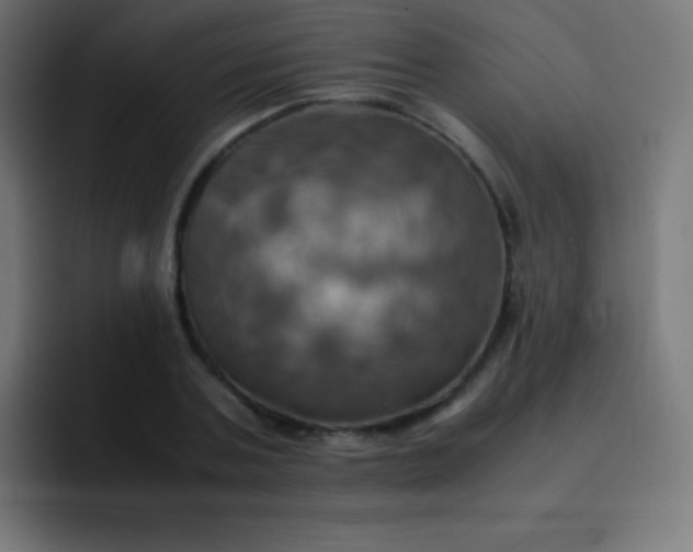 X0000093240787200710101421