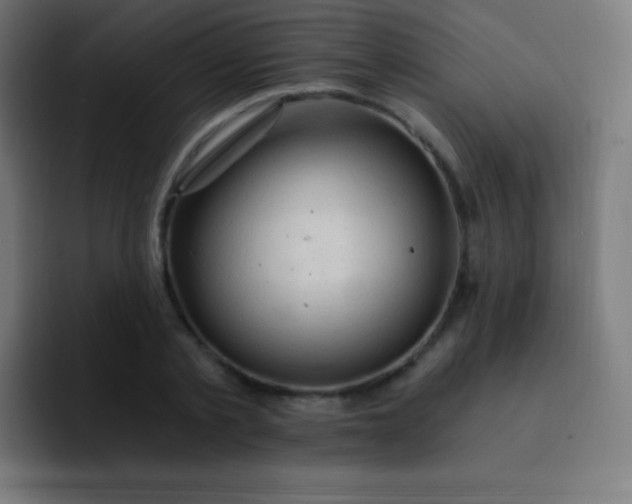 X0000093240789200710101421
