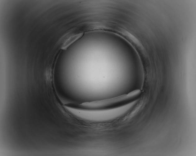 X0000093240793200710101421