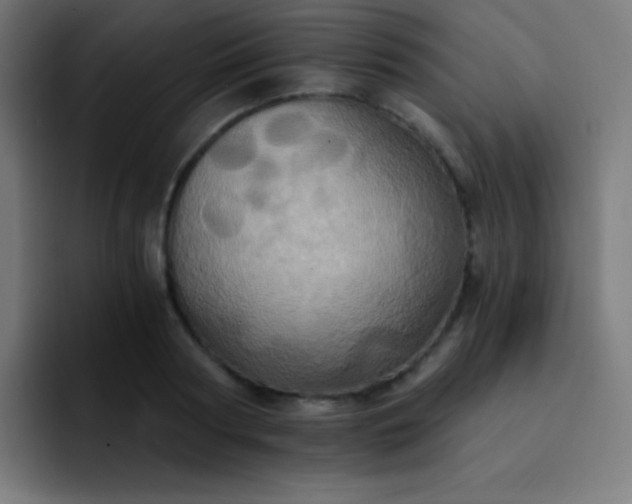 X0000093240794200710101421