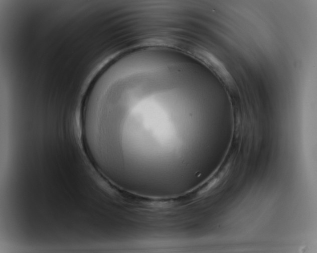X0000093240796200710101421